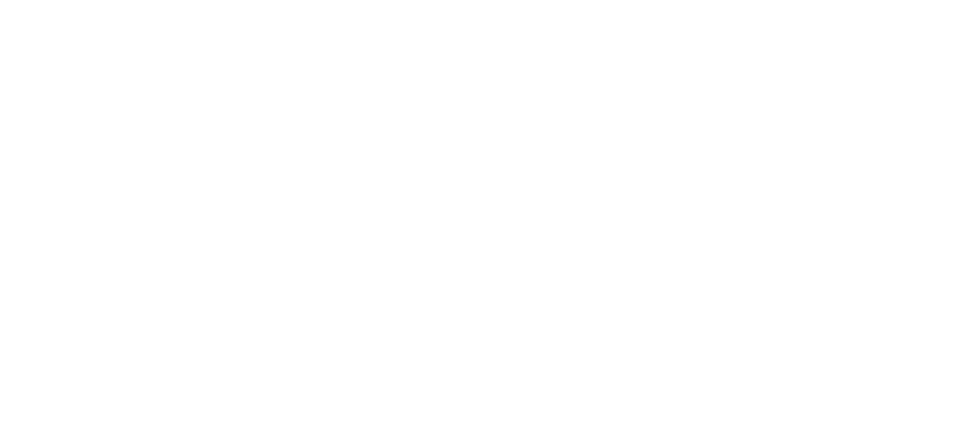 The Phone Valet